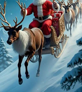 Meet your Posher, Joanne